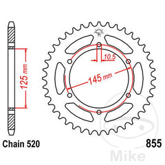 JT Sprockets CORONA 47 DENTI PASSO 520 DIAM.INT. 125 - CERCHIO FORI 145 JTR855.47