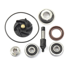 Kit di riparazione pompa d'acqua Beverly 300 V PARTS