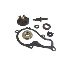 Kit Revisione Pompa Acqua Piaggio Beverly 350 cc