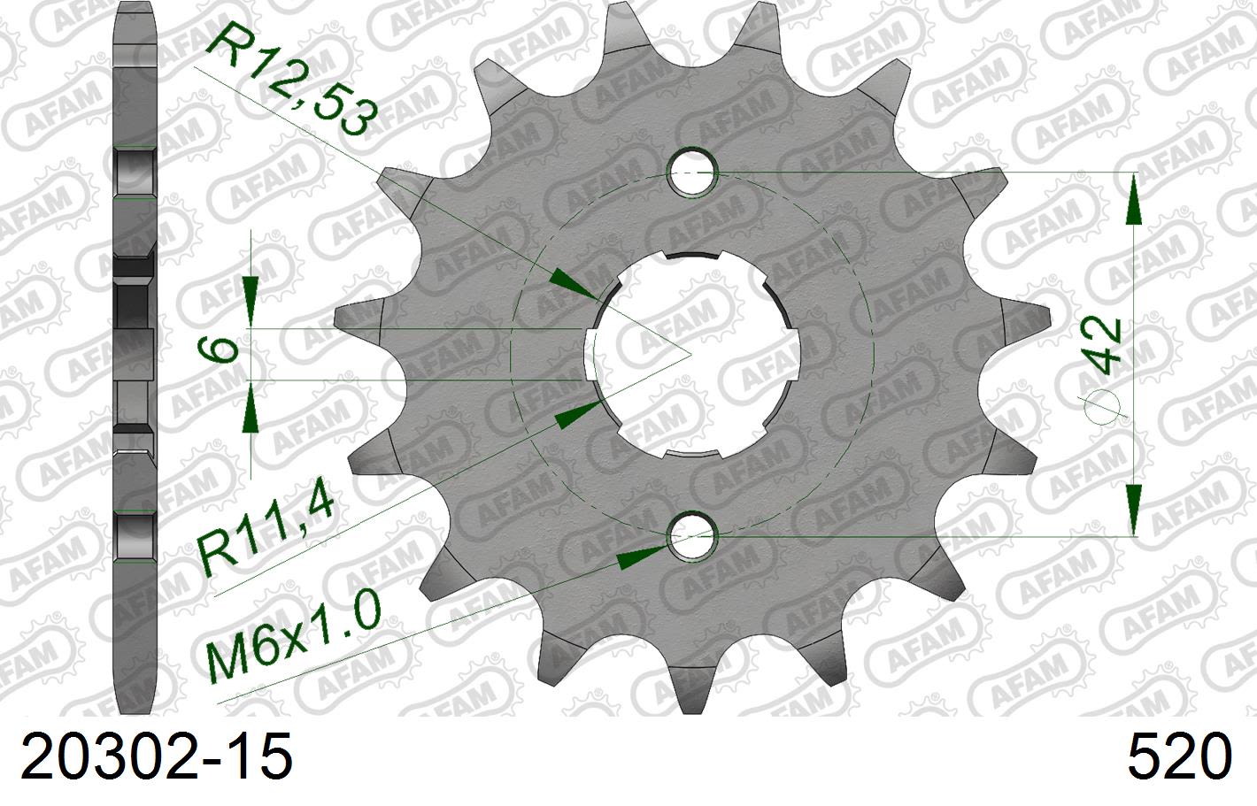 Pignone AFAM 20302-15 passo 520 E-TON VXL 250 ST VECTOR 2006 -2011
