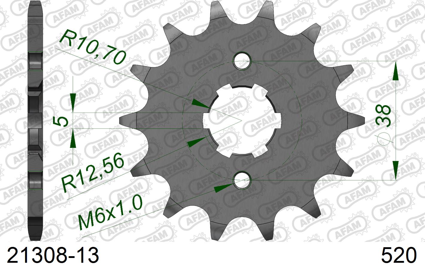 Pignone AFAM 21308-13 passo 520 YAMAHA XV 125 VIRAGO 1997  -2001