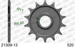 Pignone AFAM 21309-13 passo 520 FANTIC XE 125 2021 -2022