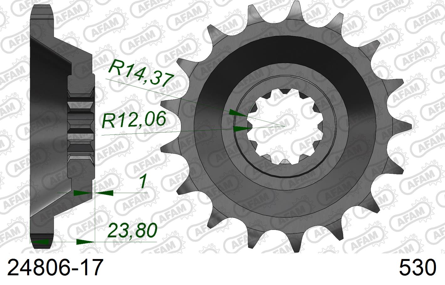 Pignone AFAM 24806-17 passo 530 KAWASAKI ZZR 1100 ZX 1100 1990  -1992