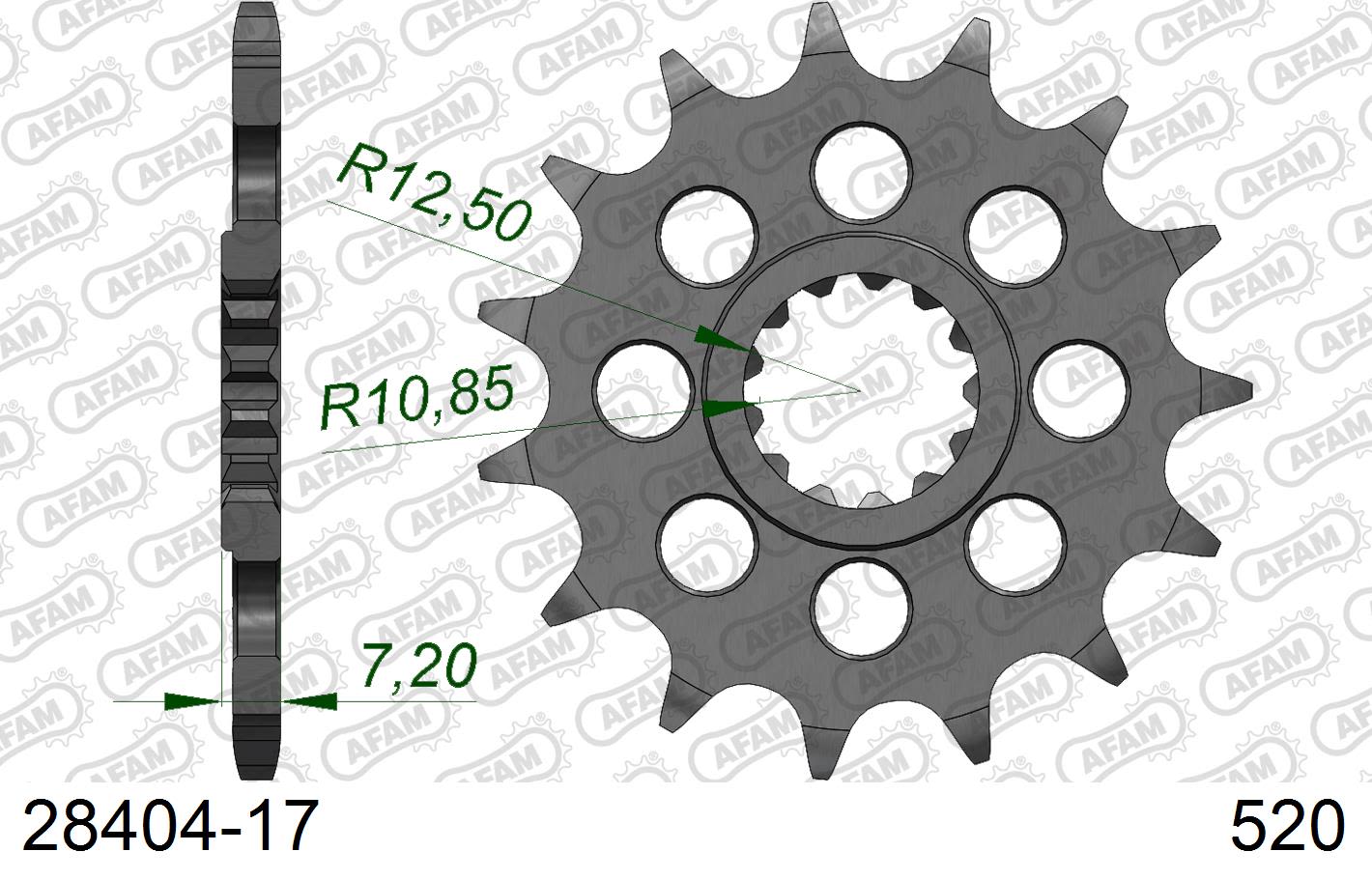 Pignone AFAM 28404-17 passo 520 KAWASAKI ZX 10 R ZX 1000 2004 -2015