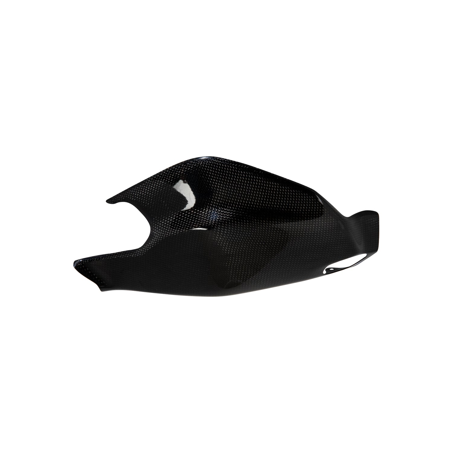 LIGHTECH Protezione Forcellone In Carbonio per Ducati Panigale 1199 2012