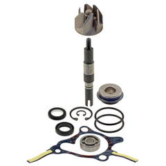 Kit revisione pompa acqua RMS Honda Foresight 250cc 1998 per HONDA FES 250 FORESIGHT 250 1998 - 1999