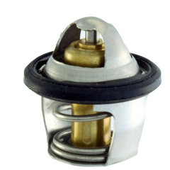 Termostato RMS Kymco Downtown 300cc per KYMCO DOWNTOWN 125I 125 2009 - 2016