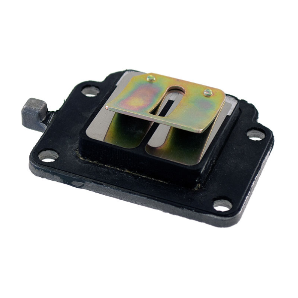 Pacco lamellare RMS Aprilia Amico 50cc cilindro verticale/MBK booster per APRILIA AMICO 50 1994 - 1994