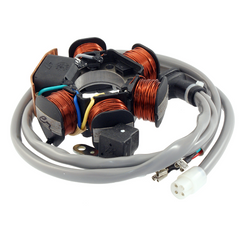 Statore RMS Piaggio Sfera/Free/Zip 50cc per PIAGGIO FREE DELIVERY 50 2000 - 2001