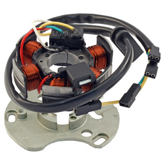 Statore RMS Aprilia/Derbi 50cc per DERBI GPR NUDE SPORT 50 2006 - 2006