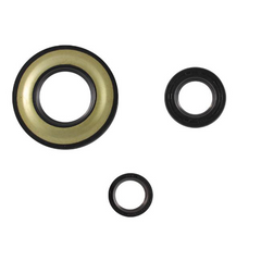 Serie paraoli motore RMS Classic Piaggio Vespa Px 125-150-200cc Arcobaleno