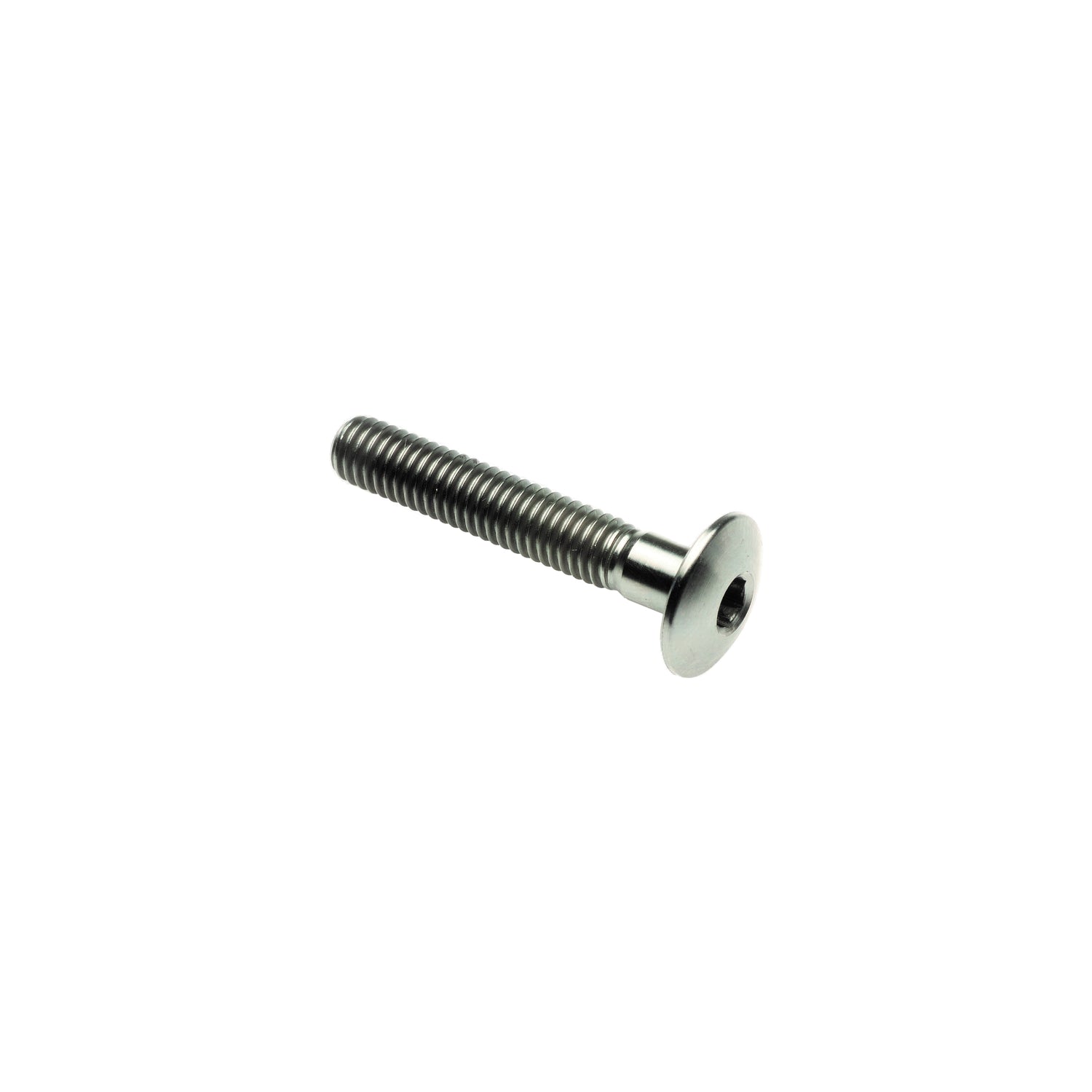 Vite Bombata Tit. G.5 Cl 002 M6 L. 10 Testa Ø14 Titanio 6al4v Gr.5