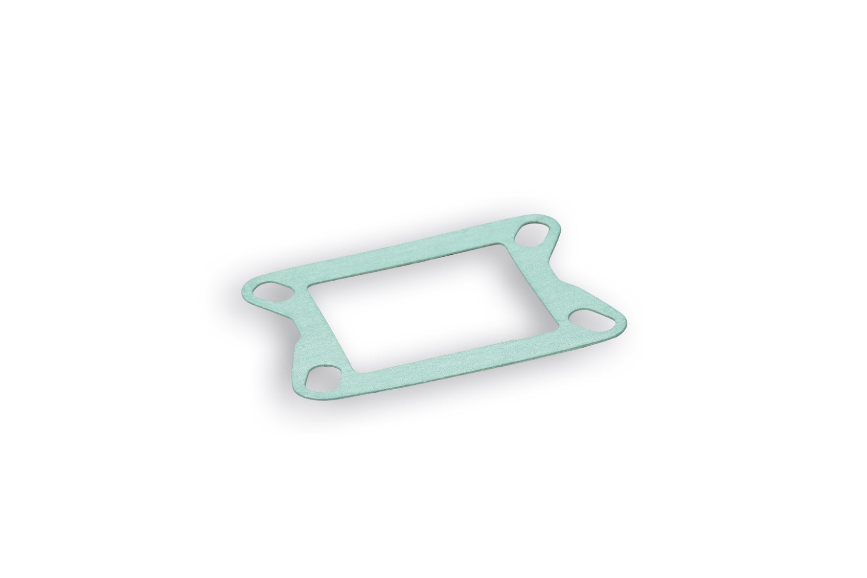 MALOSSI GUARNIZIONE COLLETTORE LAMELLARE Ø 21