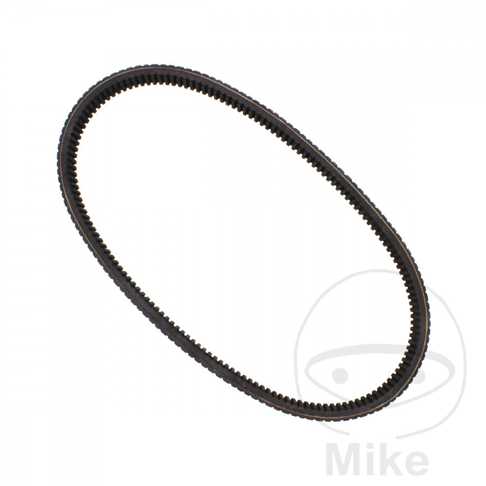 Cinghi di Trasmissione 30.0X1038
DAYCO Polaris ATP 500 HO 4WD