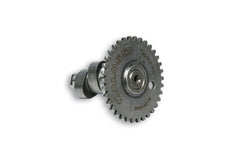 MALOSSI POWER CAM albero a camme