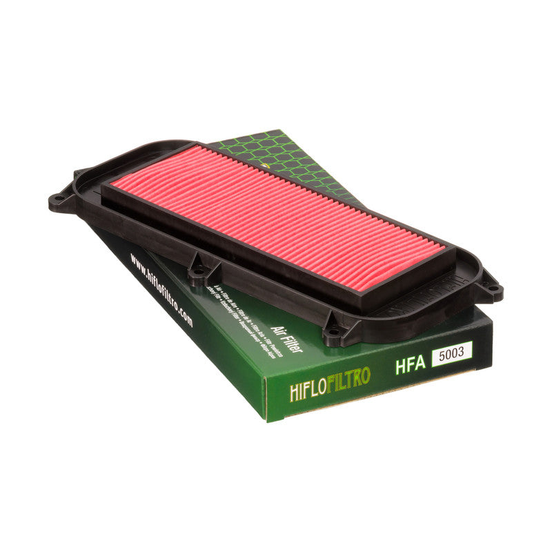 HIFLO Filtro Aria HFA5003