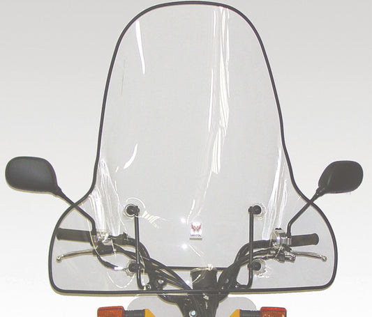 ISOTTA Parabrezza per HONDA ZOOMER 50 2004 - 2011 600