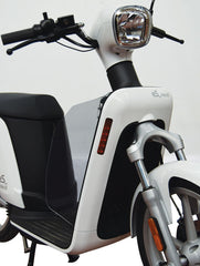 ISOTTA Coppia di paragambe fumé chiaro