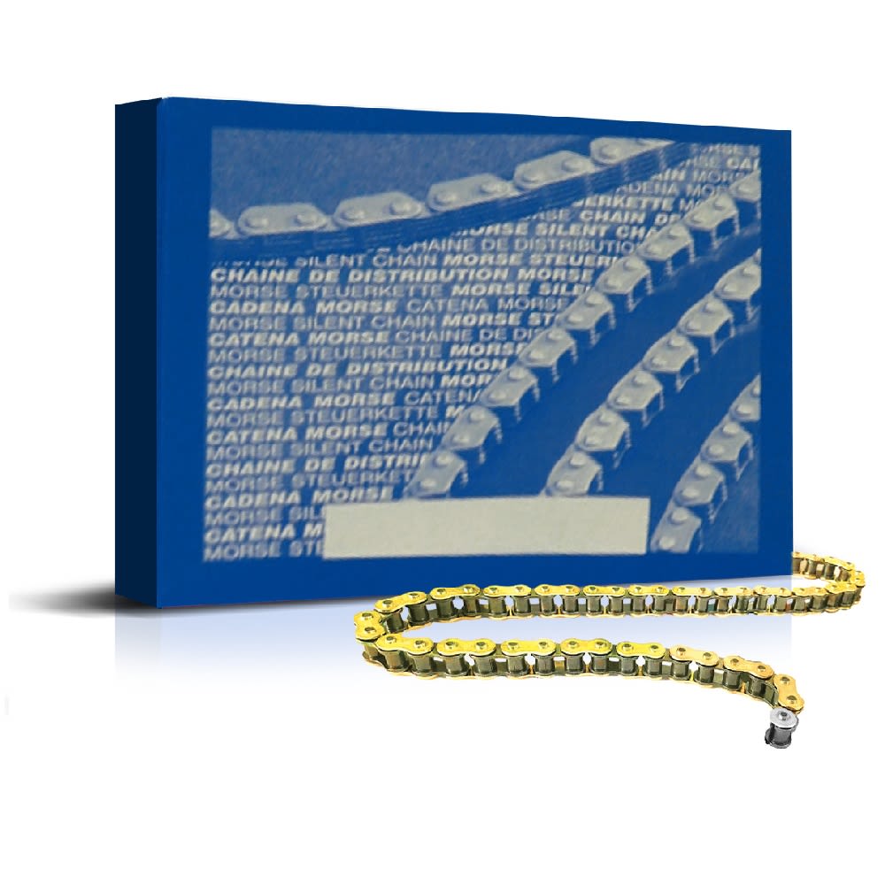 REGINA Catena distribuzione C121HCS 76 maglie chiusa