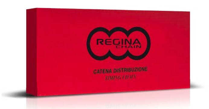 Catena distribuzione C221 CSSR 74 maglie chiusa