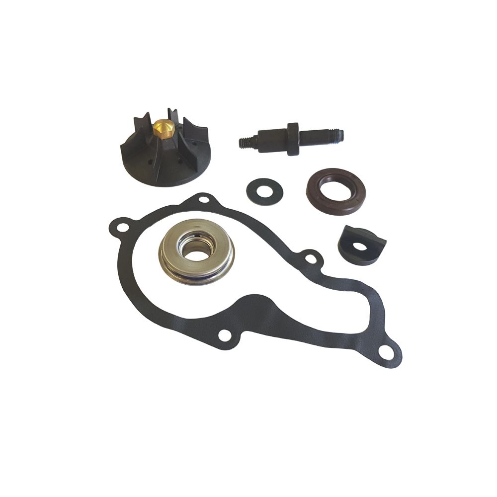 Kit Revisione Pompa Acqua Piaggio Beverly 350 cc