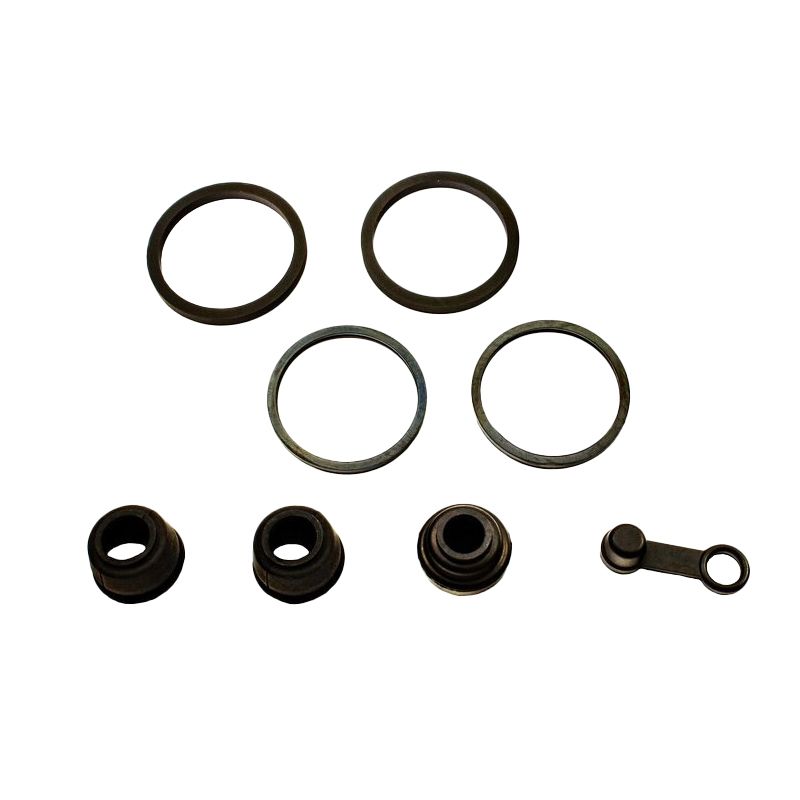 Kit Revisione Pinza Freno Posteriore HONDA GOLDWING 1500 - [BCF-108]