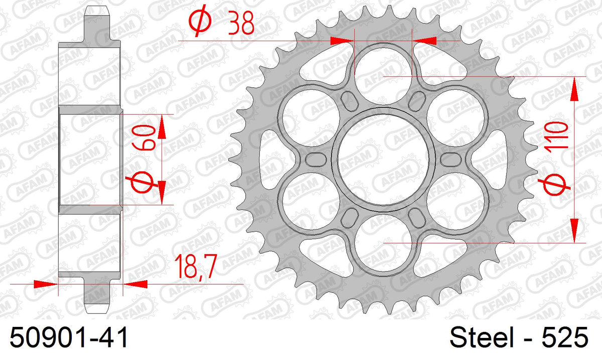 Corona AFAM 50901-41 in acciaio passo 525 DUCATI V4 1100 PANIGALE 2018  -2022  