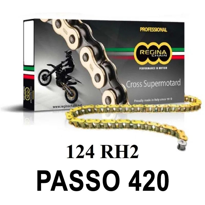 Catena 124RH2 110 maglie passo 420 - Oro