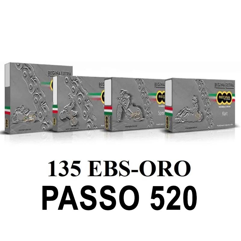 Catena 135EBSORO 106 maglie passo 520 - Oro