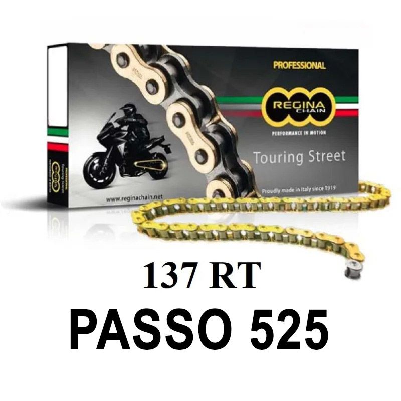 Catena 137RT 110 maglie passo 525 - Oro