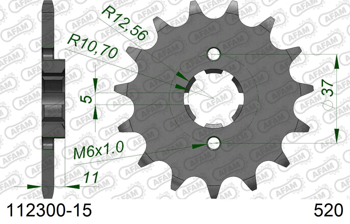 Pignone AFAM 112300-15 passo 520 SYM 200 TRACKRUNNER 2006  -2009  