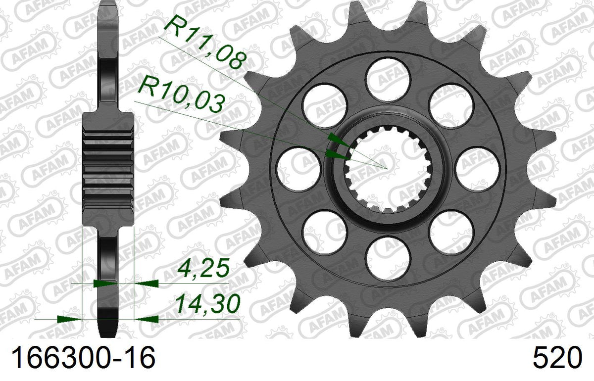 Pignone AFAM 166300-16 passo 520 BMW G 310 GS 2016  -2022  