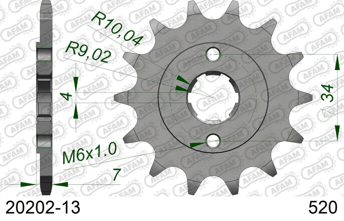 Pignone AFAM 20202-13 passo 520 AJP PR4 125 ENDURO 2004  -2011  