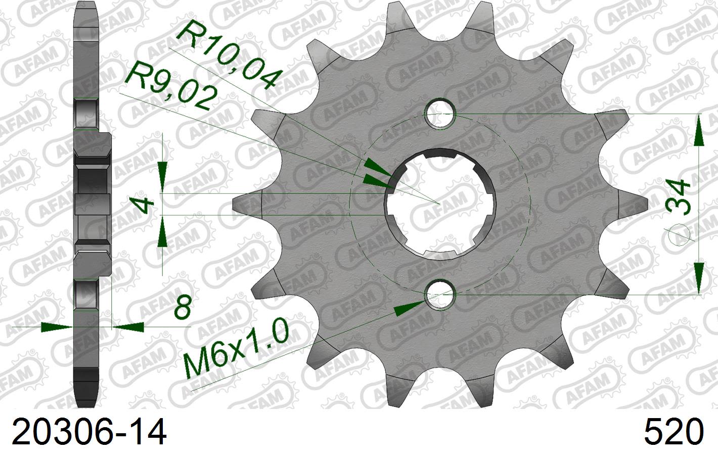 Pignone AFAM 20306-14 passo 520 HONDA XL 350 R 1984  -1987  