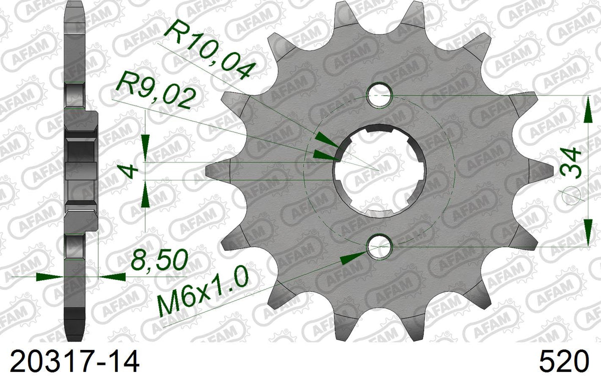 Pignone AFAM 20317-14 passo 520 HONDA CB 250 NIGHTHAWK 1992  -2000  