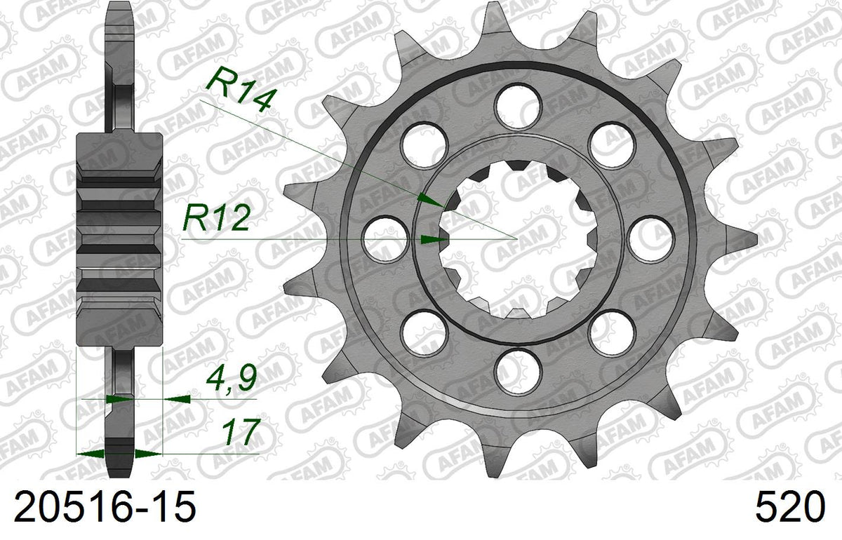 Pignone AFAM 20516-15 passo 520 HONDA CB 600 F HORNET 1998  -2006  