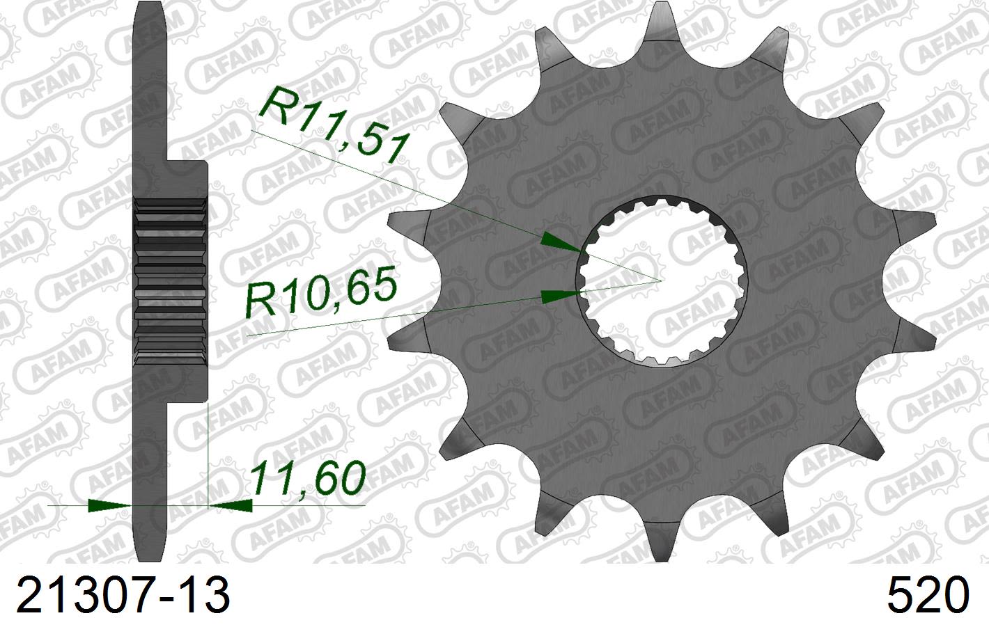 Pignone AFAM 21307-13 passo 520 YAMAHA TT 250 R 1999  -2004  