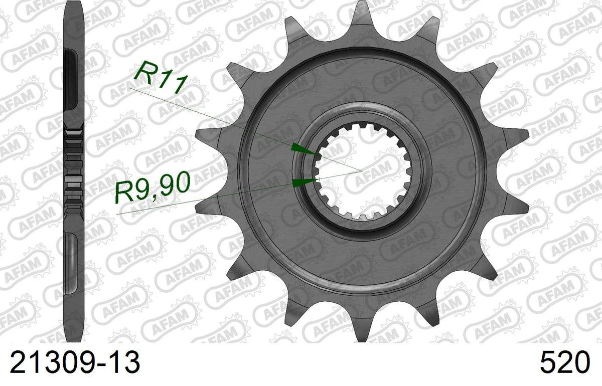 Pignone AFAM 21309-13 passo 520 FANTIC XE 125 2021  -2022  