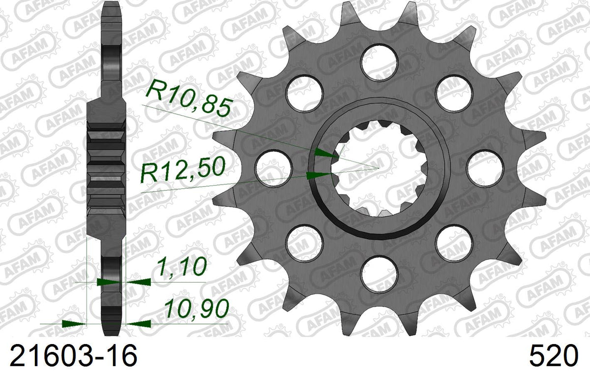 Pignone AFAM 21603-16 passo 520 YAMAHA FZ 6 N 2004  -2007  