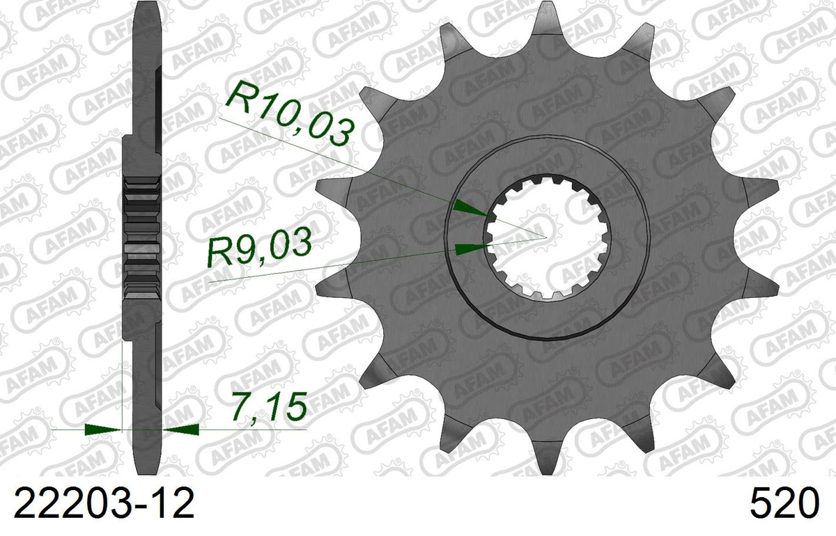 Pignone AFAM 22203-12 passo 520 SUZUKI RM 125 1992  -2011  