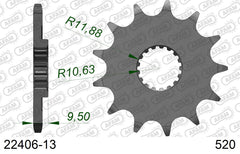 Pignone AFAM 22406-13 passo 520 SUZUKI RM-X 450 Z 2010  -2017  