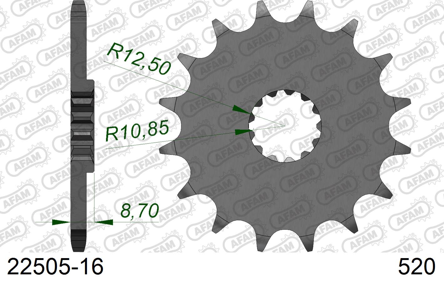 Pignone AFAM 22505-16 passo 520 SUZUKI GS 500 2001  -2007  