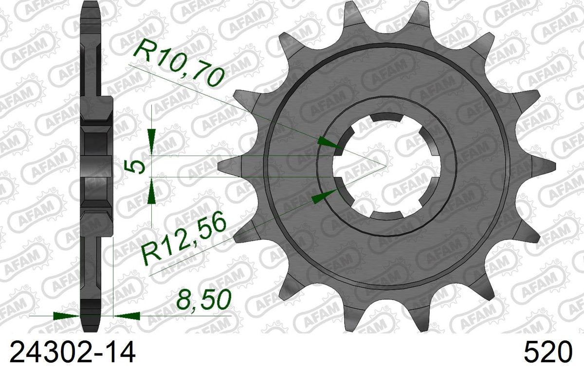 Pignone AFAM 24302-14 passo 520 CAGIVA WMX 250 1989  -1990  