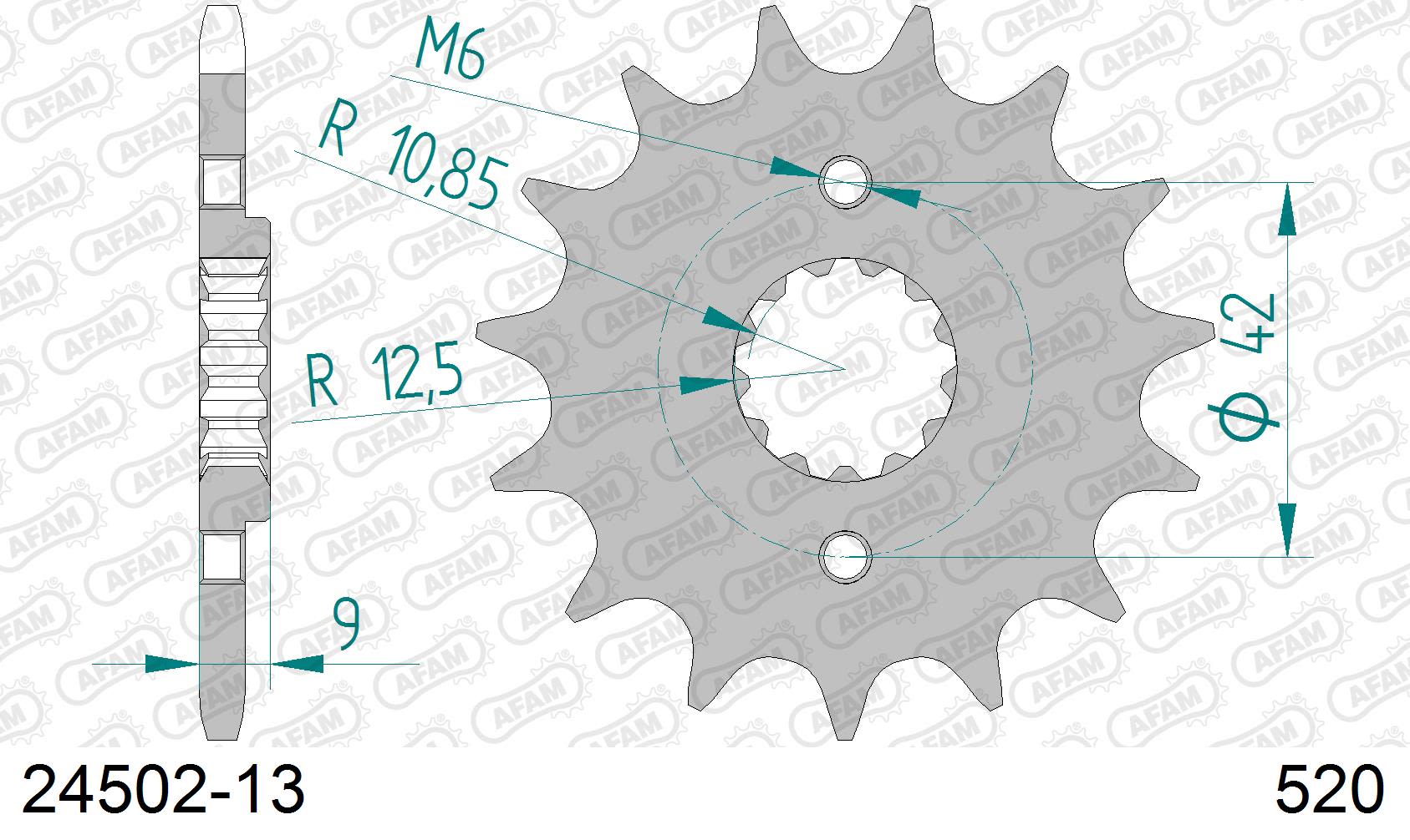 Pignone AFAM 24502-13 passo 520 KAWASAKI KLX 250 S 2009  -2013  