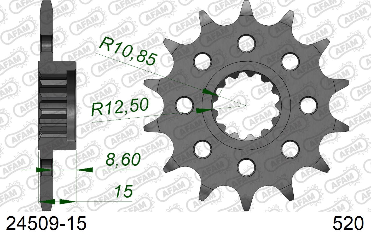 Pignone AFAM 24509-15 passo 520 KAWASAKI ZX 6 R 1998  -2001  