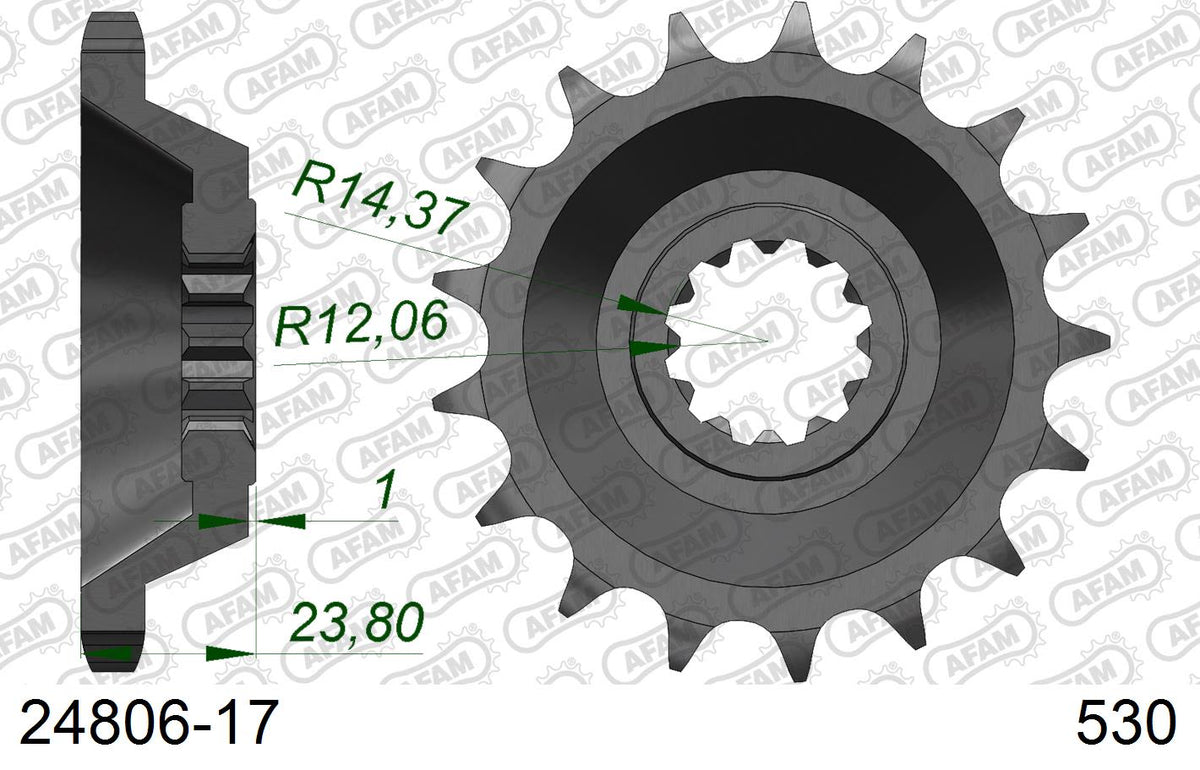 Pignone AFAM 24806-17 passo 530 KAWASAKI ZZR 1100 ZX 1100 1990  -1992  