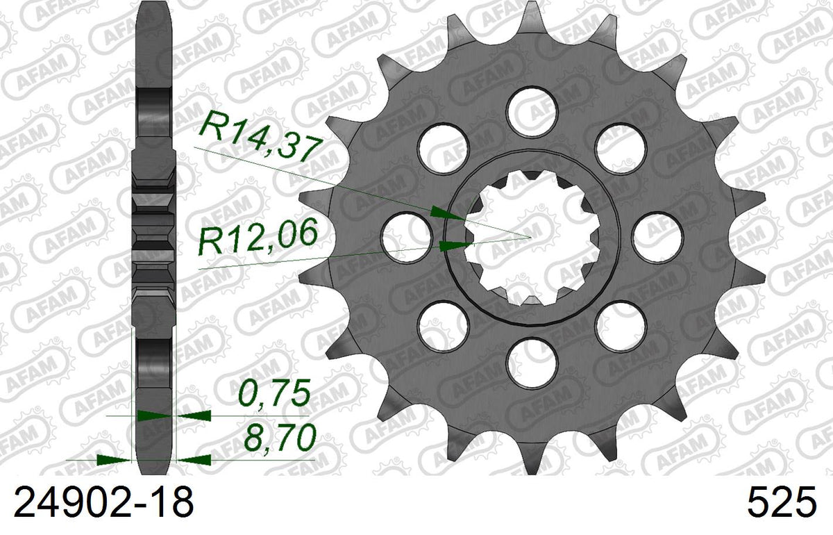 Pignone AFAM 24902-18 passo 525 KAWASAKI H2 1000 SE ZX1000 NINJA 2018  -2020  