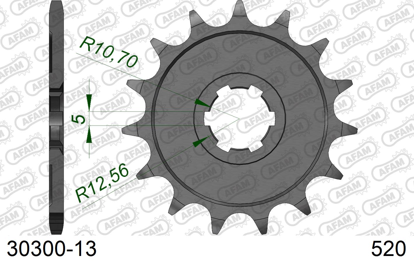 Pignone AFAM 30300-13 passo 520 KAWASAKI KDX 200 1984  -1985  