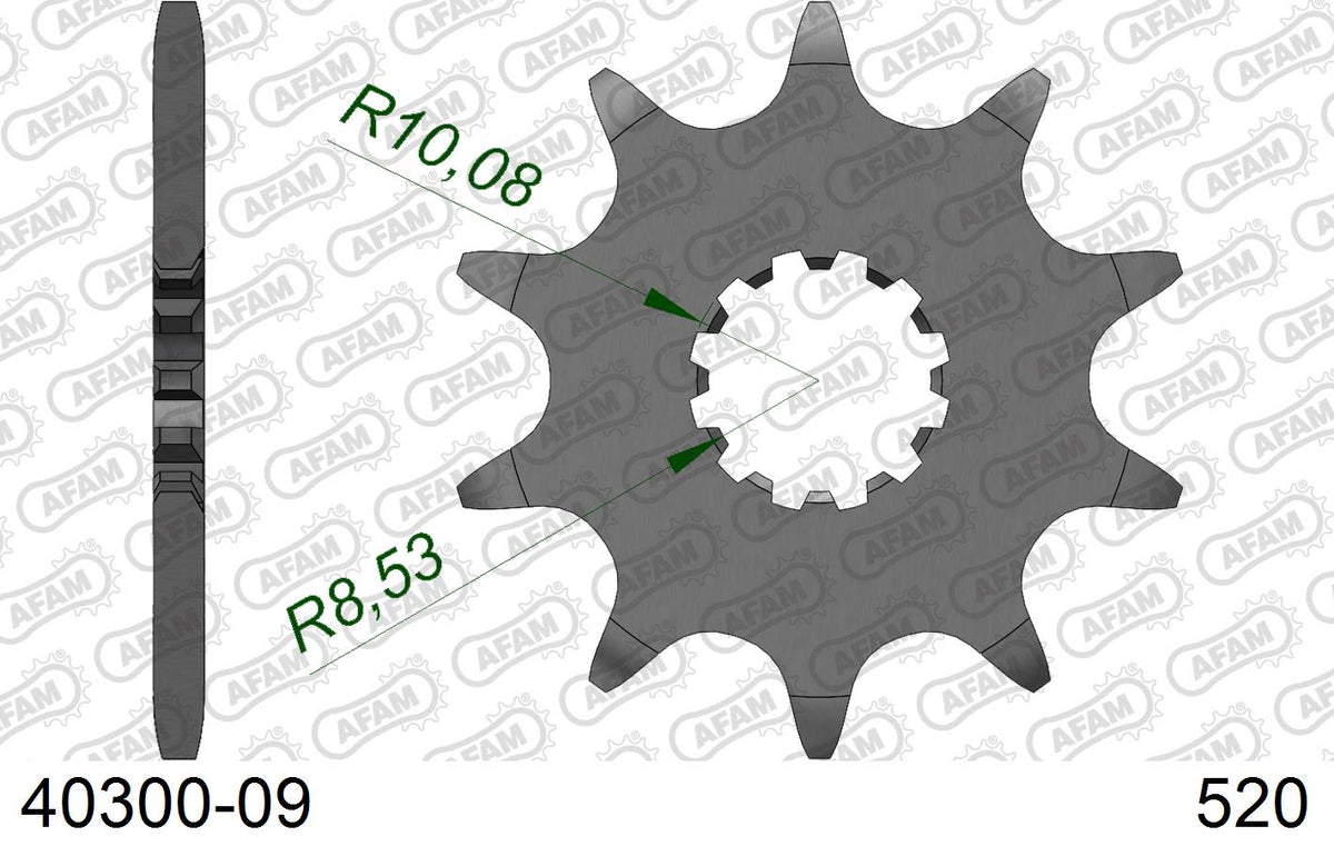 Pignone AFAM 40300-09 passo 520 BETA EVO 125 2009  -2022  