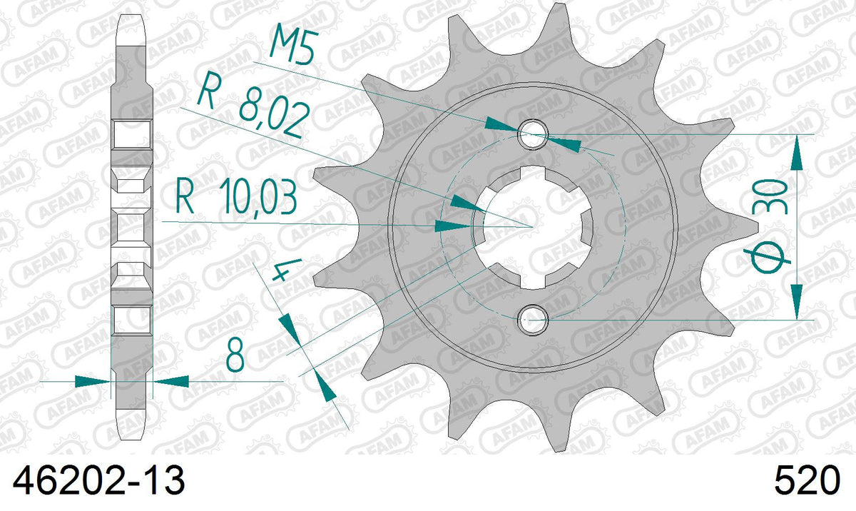 Pignone AFAM 46202-13 passo 520 HUSQVARNA WR 125 1990  -1994  